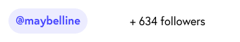 a brand increasing their Instagram followers